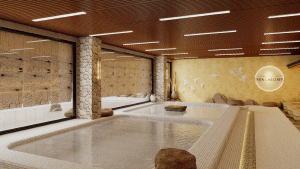 Bể tắm lạnh Mizuboro